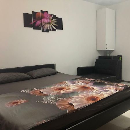 Garsoniera Aleea Trandafirilor Apartman Herkulesfürdő Kültér fotó