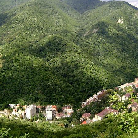 Garsoniera Aleea Trandafirilor Apartman Herkulesfürdő Kültér fotó