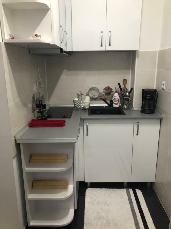 Garsoniera Aleea Trandafirilor Apartman Herkulesfürdő Kültér fotó