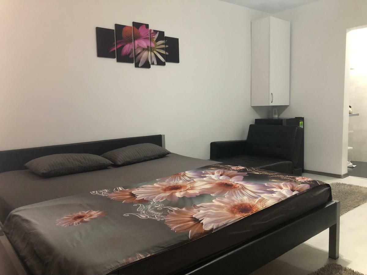 Garsoniera Aleea Trandafirilor Apartman Herkulesfürdő Kültér fotó