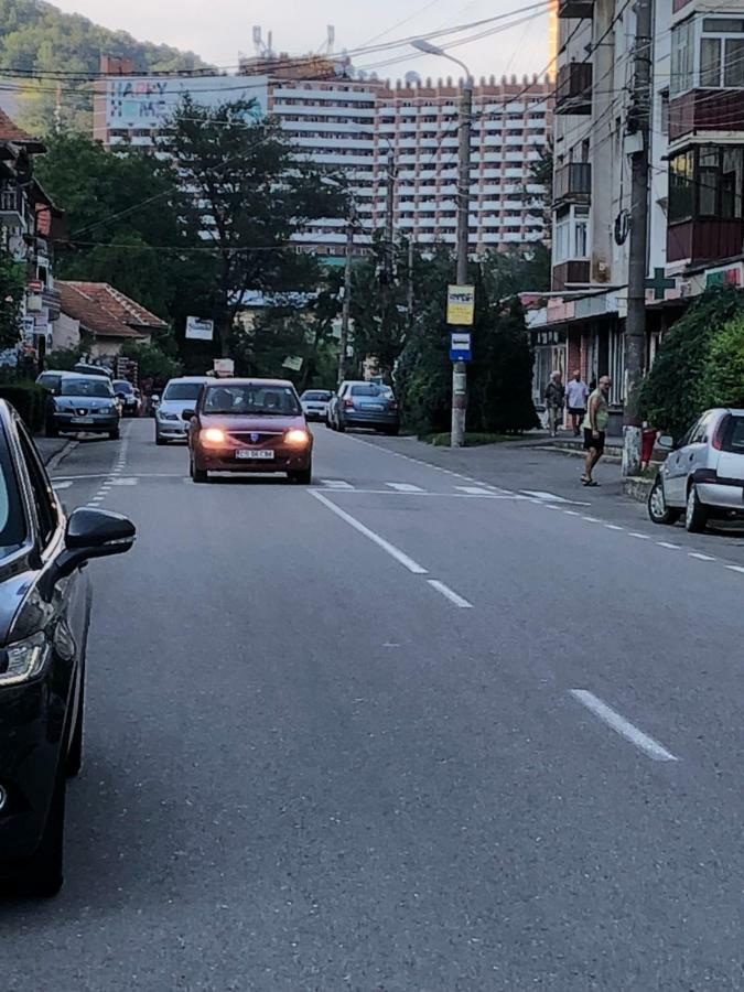 Garsoniera Aleea Trandafirilor Apartman Herkulesfürdő Kültér fotó