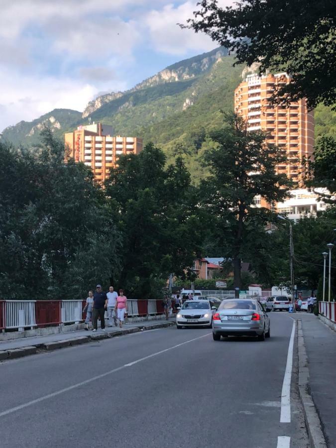 Garsoniera Aleea Trandafirilor Apartman Herkulesfürdő Kültér fotó