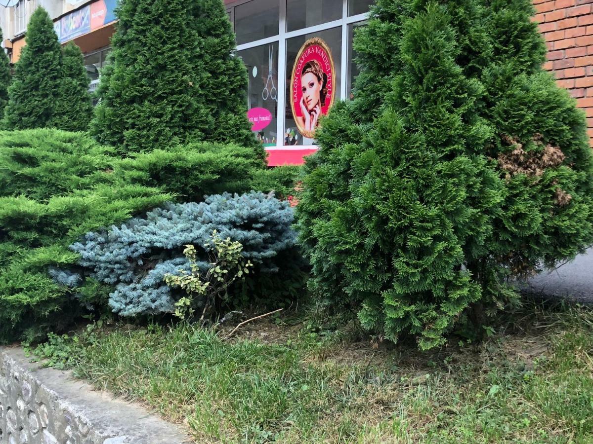 Garsoniera Aleea Trandafirilor Apartman Herkulesfürdő Kültér fotó